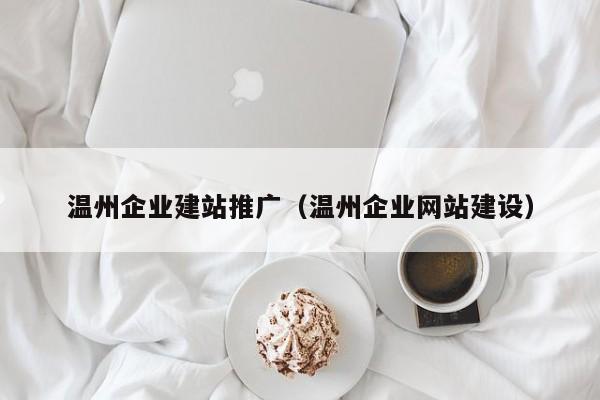电商网站建设